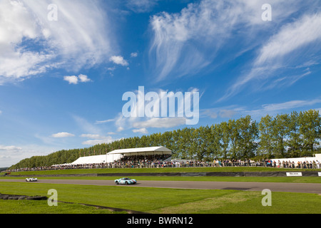 Vista lungo il rettilineo Lavant durante il 2010 Goodwood incontro, Sussex, Inghilterra, Regno Unito. Foto Stock