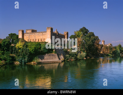 Castello del Duca di Arion dal Tajo River a Malpica de Tajo, a ovest di Toledo, Castilla-La Mancha, in Spagna. Foto Stock