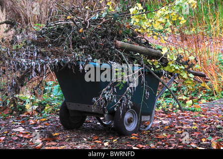 Carriola giardino pieno di fiori morto in autunno. Dorset, Regno Unito Novembre 2010 Foto Stock