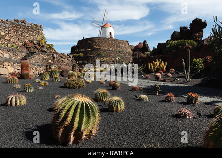 Il giardino dei cactus con un mulino a vento, Jardín de cactus, progettato da César Manrique, Guatiza, Lanzarote, Isole Canarie, Spagna, Europa Foto Stock