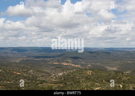 Paesaggio in Alcarria area. Provincia di Guadalajara. Castiglia La Mancha. Spagna Foto Stock
