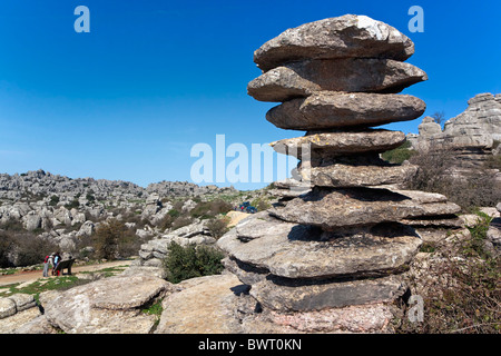 Formazione rocciosa conosciuta come El Perrnillo, o la vite di El Torcal parco riserva naturale vicino a Antequera, provincia di Malaga, Spagna. Foto Stock