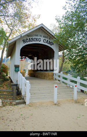 Roaring Camp Railroad, Felton, Santa Cruz County, California, Stati Uniti d'America Foto Stock