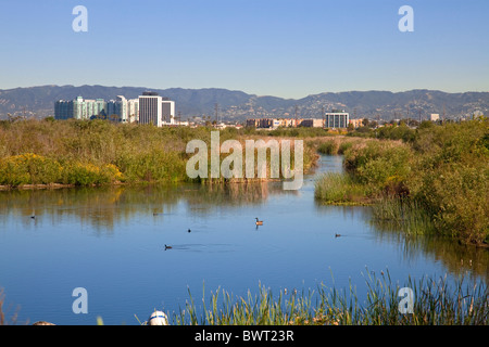 Il Ballona zone umide è un area protetta vicino a Marina Del Rey e Playa del Rey. Los Angeles, California, Stati Uniti d'America Foto Stock