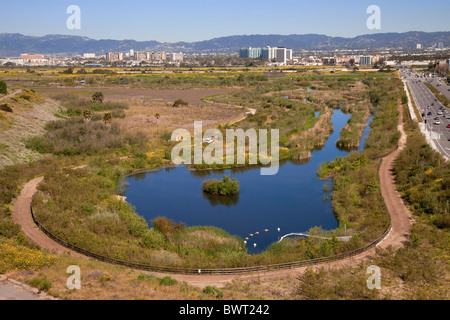 Il Ballona zone umide è un area protetta vicino a Marina Del Rey e Playa del Rey. Los Angeles, California, Stati Uniti d'America Foto Stock