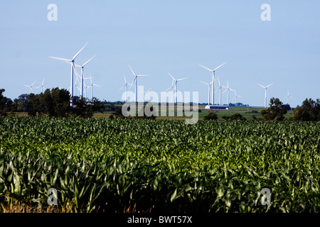 Una nuova fattoria eolica spicca sopra il verde lussureggiante estate tempo di colture di mais sull'Illinois Prairie. Foto Stock