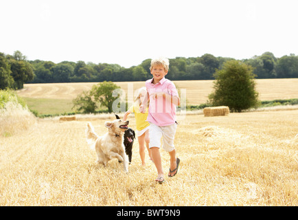 Ragazzo con i cani in esecuzione attraverso Estate Campo di raccolto Foto Stock