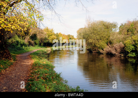 La nave di Chichester Canal vicino Hunston, West Sussex. Foto Stock