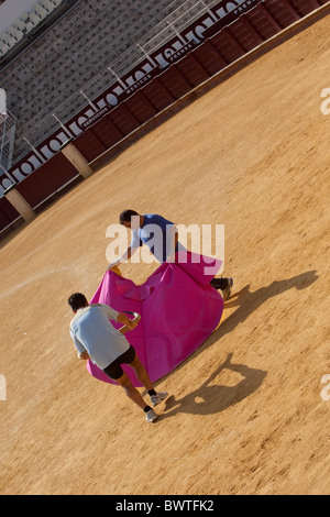 Bull fighters praticare nella corrida Malaga Spagna Foto Stock