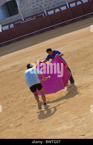 Bull fighters praticare nella corrida Malaga Spagna Foto Stock