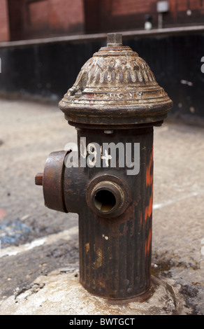 Idrante di fuoco in New York Foto Stock