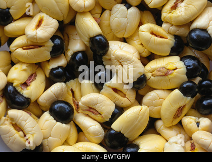 Piante di piante di alberi ad albero ackee ackees akee akees achee achees evergreen sempreverdi sapindaceae tropici natura tropicale in Africa Foto Stock