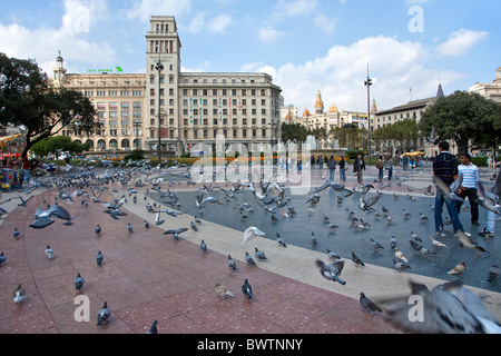 I piccioni a Plaza Catalunya. Barcellona. Spagna Foto Stock