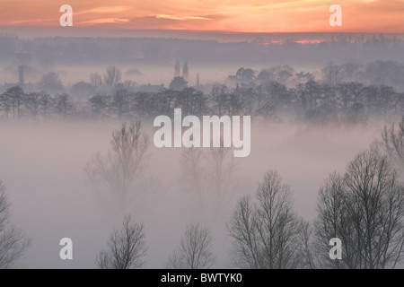 Nebbia in salita oltre il Fiume Stour tramonto vicino Flatford Foto Stock