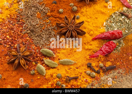 Arbusti di spezie colorate mix con diversa potenza e grano come closeup Foto Stock