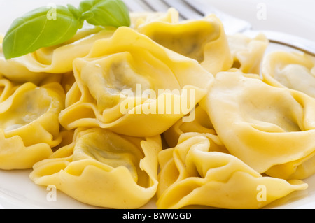 Ravioli di bollito con il prezzemolo come primo piano su una piastra bianca Foto Stock