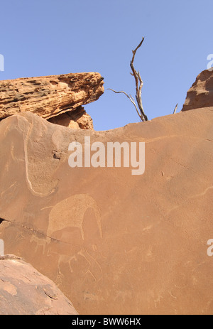 Arte arido deserto dei Boscimani incisioni namibia petroglyfs rock san twyfelfontein deserto Africa Africa Namibia Namibia paese Foto Stock