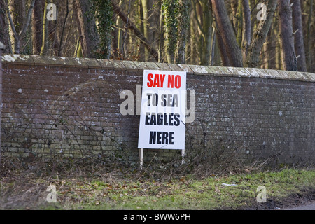 White-tailed Eagle (Haliaeetus albicilla) reintroduzione di protesta, 'Say n. di aquile di mare qui' segno, Norfolk, Inghilterra, inverno Foto Stock