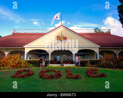 DOLE plantation su Oahu, Hawaii Foto Stock