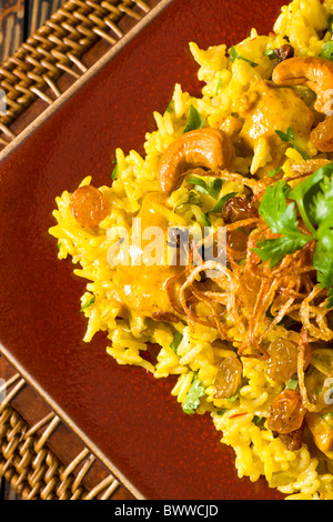 Cubetti di pollo marinato in yogurt e spezie, stufati con riso basmati e guarnita con il coriandolo tritato e menta, cipolla fritti Foto Stock