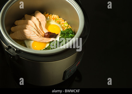 Il coreano Bibimbap, riso con kimchi, Salmone al vapore, spinaci, uova, peperoncino e pasta di semi di sesamo, cucina all'interno di un elettrico Foto Stock