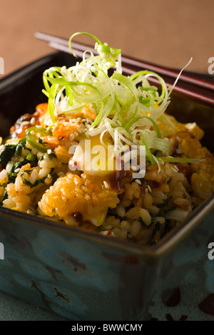 Il coreano Bibimbap, riso con kimchi, Salmone al vapore, spinaci, uova, peperoncino pasta, lo scalogno e i semi di sesamo Foto Stock