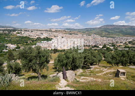 Vista panoramica della città imperiale Fes - migliore del Marocco Foto Stock