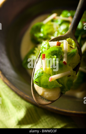 Saltati i cavoletti di Bruxelles foglie con salsa Apple-Mustrad. Foto Stock