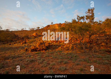 Golden sunrise sulla gamma Byngnano e Orange/Red Rocks a Capo Verde, Mutawintji National Park, Nuovo Galles del Sud Foto Stock