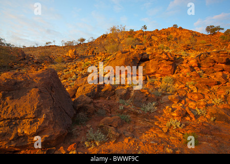 Golden sunrise sulla gamma Byngnano e Orange/Red Rocks a Capo Verde, Mutawintji National Park, Nuovo Galles del Sud Foto Stock