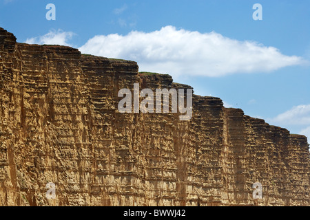 Strati sedimentari in West Bay scogliere, Jurassic Coast Sito Patrimonio Mondiale, West Bay, Bridport, Dorset, England, Regno Unito Foto Stock