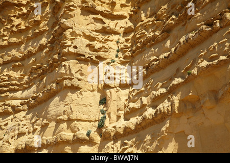 Strati sedimentari in West Bay scogliere, Jurassic Coast Sito Patrimonio Mondiale, West Bay, Bridport, Dorset, England, Regno Unito Foto Stock