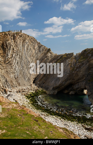 Foro di scale, che mostra la piegatura di calcare (Lulworth crumple) nelle vicinanze Lulworth Cove, Jurassic Coast Sito Patrimonio Mondiale, Dorset, Inghilterra Foto Stock
