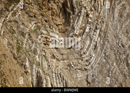 Piegatura di calcare (Lulworth crumple), stair foro (ansa), nelle vicinanze Lulworth Cove, Jurassic Coast Sito Patrimonio Mondiale, Dorset, Inghilterra Foto Stock