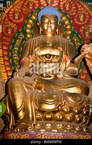 Un Buddha d'oro, il Tempio Shaolin, luogo di nascita del Kung Fu, Song Shan, vicino a Zhengzhou, nella provincia di Henan, Dengfeng, Cina Foto Stock