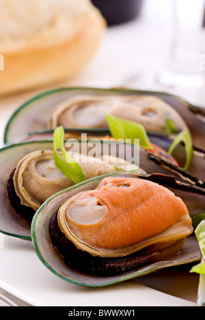 Cozze Foto Stock