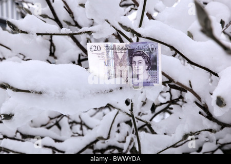 £20 nota su un albero coperto di neve Foto Stock