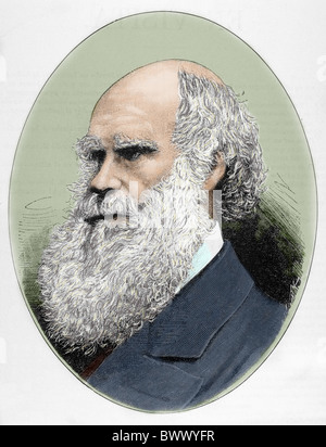 DARWIN, Charles Robert (1809-1882) naturalista britannico. Incisione colorata. Foto Stock