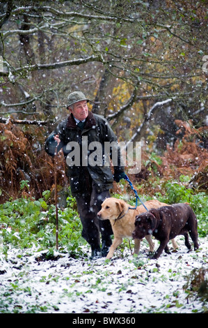 Battitore a piedi nella neve sul pilotato sparare con i cani Foto Stock