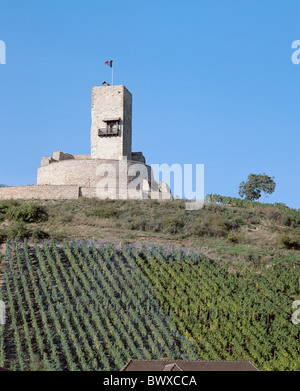 Vino Francia Europa Alsazia vicino a Colmar vigneti castello-fortezza vigna hill Foto Stock