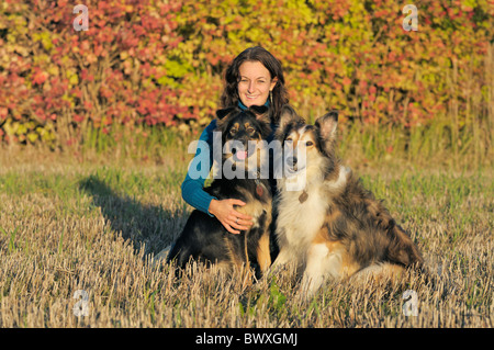 Giovane donna con i suoi due cani in autunno di sera (Australian Sheppard Collie ruvida) Foto Stock