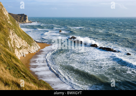 Man o' guerra Cove (St Oswald's Bay), Dorset, Regno Unito Foto Stock