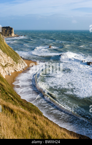 Man o' guerra Cove (St Oswald's Bay), Dorset, Regno Unito Foto Stock