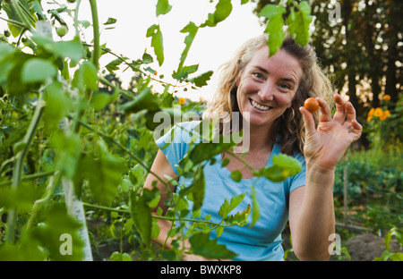 Una donna di mezza età sorridente come lei pick pomodori ciliegia nel suo giardino. Foto Stock
