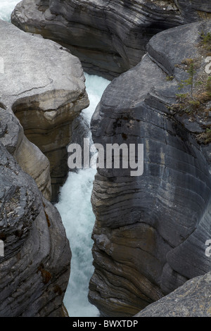 Fiume Mistaya cadere in Mistaya Canyon, Icefields Parkway, il Parco Nazionale di Banff, Alberta, Canada Foto Stock