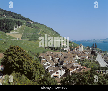 Svizzera Europa canton Berna Oberland Bernese Twann lago sul lago di Bienne vigneti di mare Foto Stock