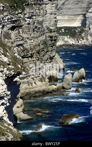 Onde che si infrangono contro le scogliere calcaree, Bonifacio, Corsica, Francia. Foto Stock