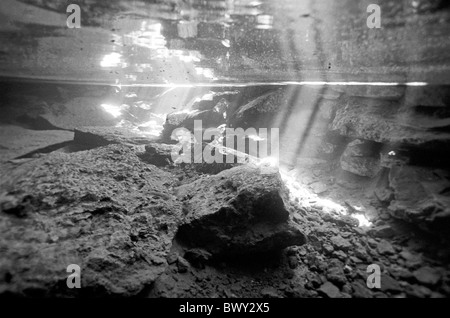 Sunbeam di diffrazione in un'acqua di un Cenote Foto Stock