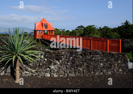 Museo Wine-Growing in Madalena, isola di Pico, Azzorre Foto Stock