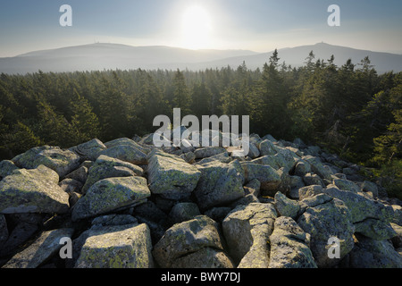 Brocken e Wurmberg Montagne Vista dal vertice Achtermann, Parco Nazionale di Harz, Bassa Sassonia, Germania Foto Stock